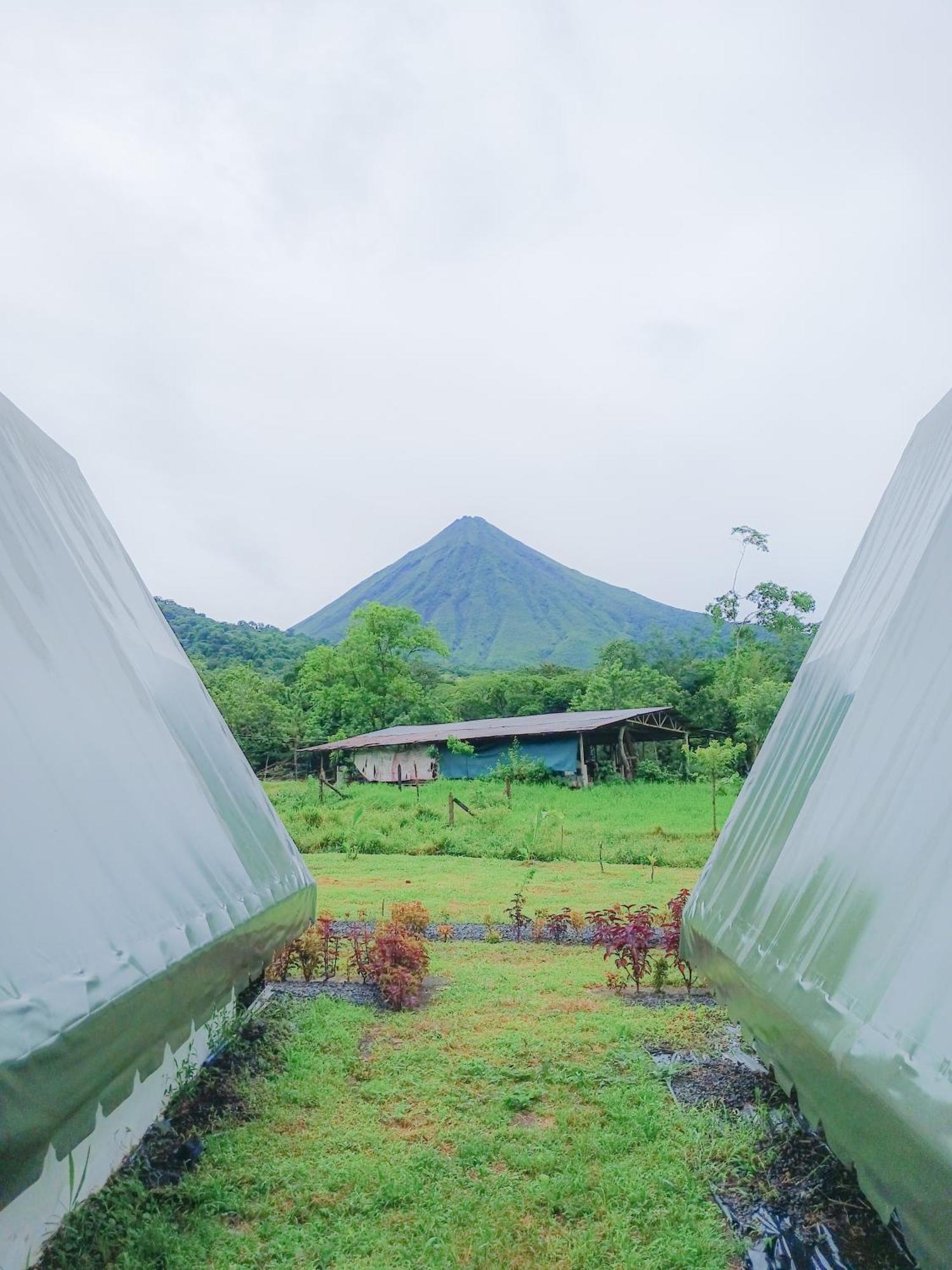 Flora Glamping De Abuela Villa La Fortuna ภายนอก รูปภาพ