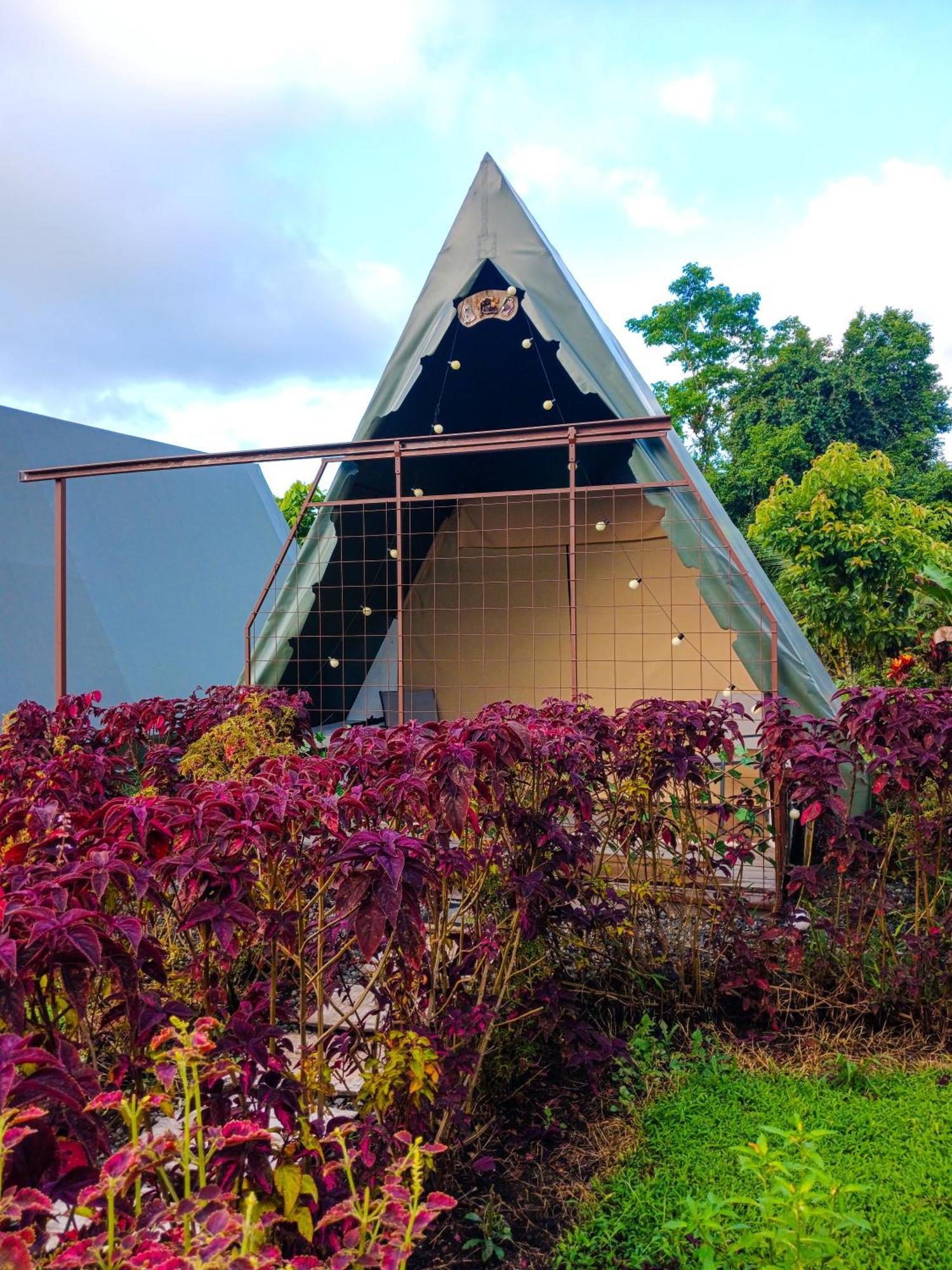 Flora Glamping De Abuela Villa La Fortuna ภายนอก รูปภาพ