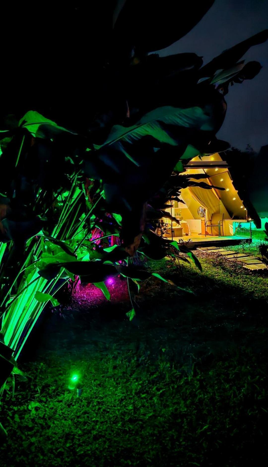 Flora Glamping De Abuela Villa La Fortuna ภายนอก รูปภาพ