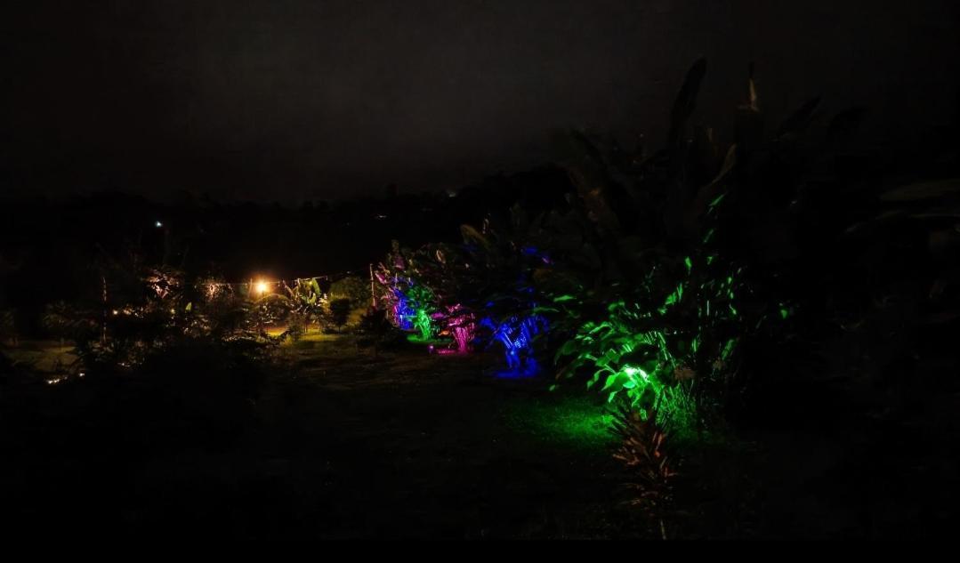 Flora Glamping De Abuela Villa La Fortuna ภายนอก รูปภาพ